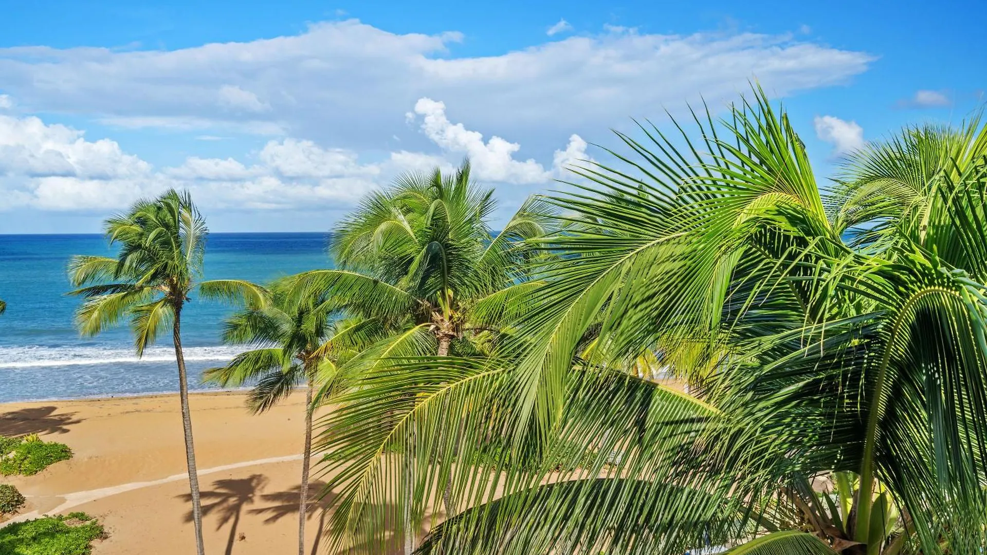 Luxury Condo Near San Juan Río Grande Apartamento