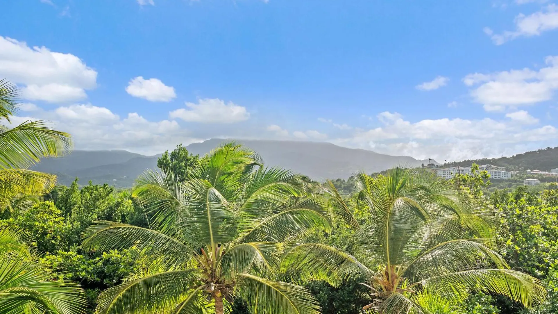 Luxury Condo Near San Juan Río Grande